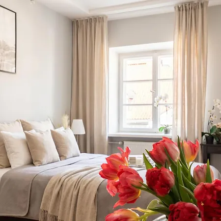 Apartamento Old Town Heart Xvii - Freta Luxury